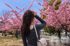 新潟デリヘルCherish Amulet(チェリッシュ アミュレット) ひめか★ ≪神スタイル≫(23)の3月3日写メブログ「ぎゅーっとさ」