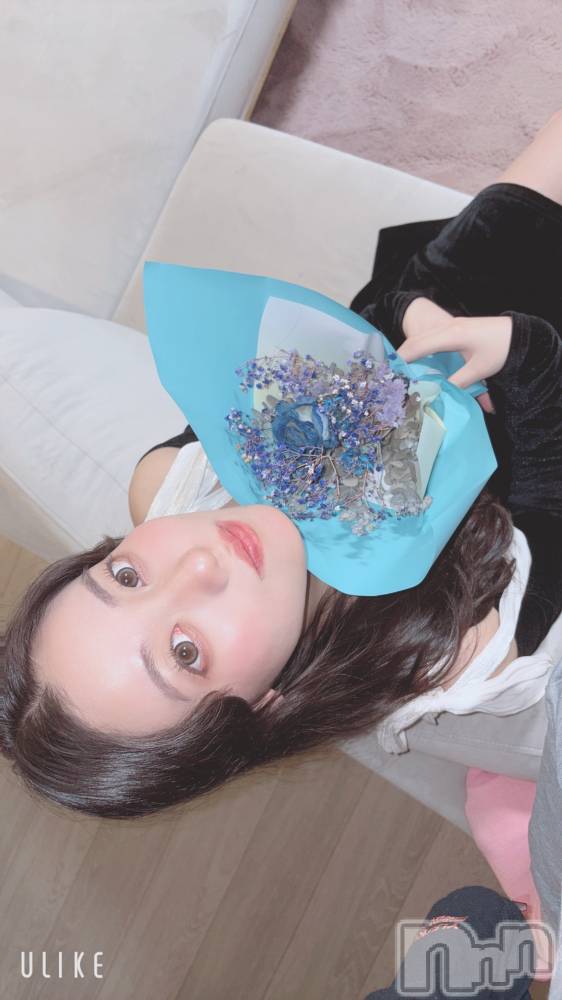 ����ȯ����ѥ˥��󥯥�ֿ��㥳��� -���㥳��ѥ˥��󥯥��-(�˥���������� -�˥���������ѥ˥��󥯥��-) �ޤ椫������夲����1��11���̥�֥����־夫���