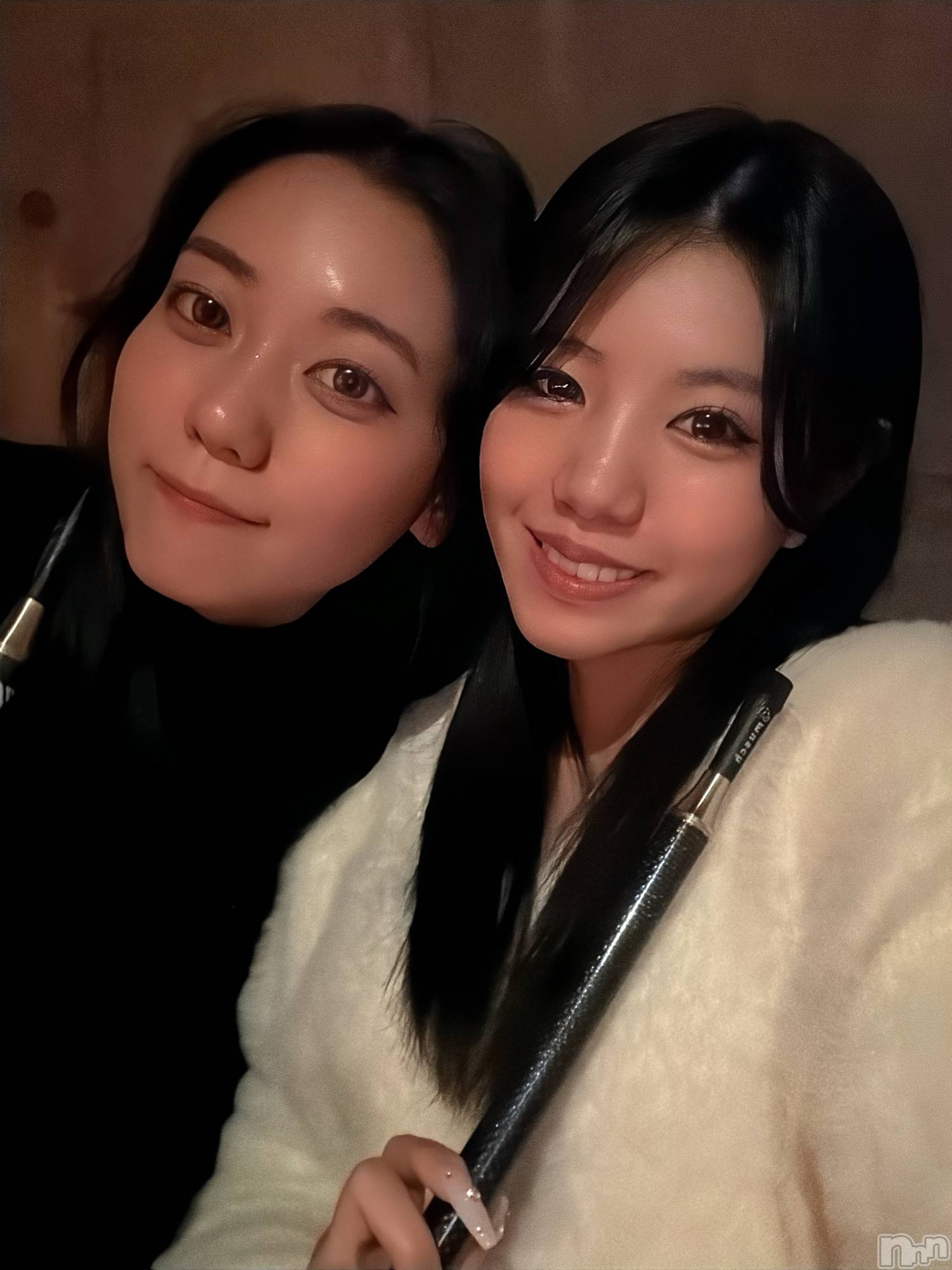 ����ȯ����ѥ˥��󥯥�ֿ��㥳��� -���㥳��ѥ˥��󥯥��-(�˥���������� -�˥���������ѥ˥��󥯥��-) ��2025ǯ12��16���̥�֥����֤��䤹�ߤ�����