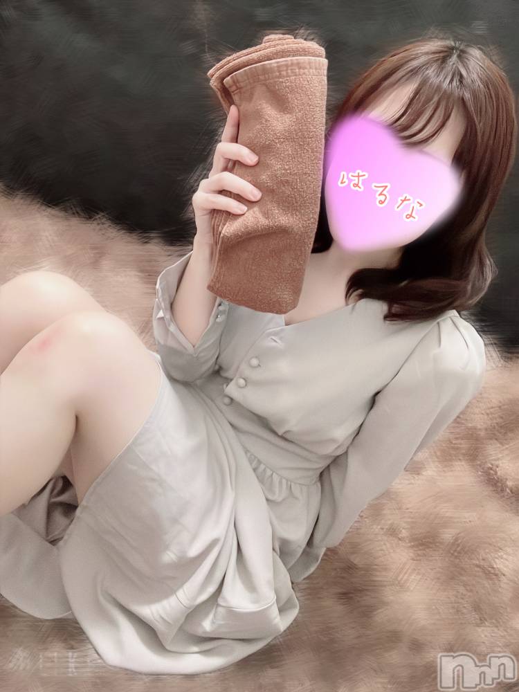 㡦ȯĥꥢ󥺥Ƥޤơ(ޥƥåȥ˥) ۺڡϤʤ1215̥֥֤Ф󤭤塼