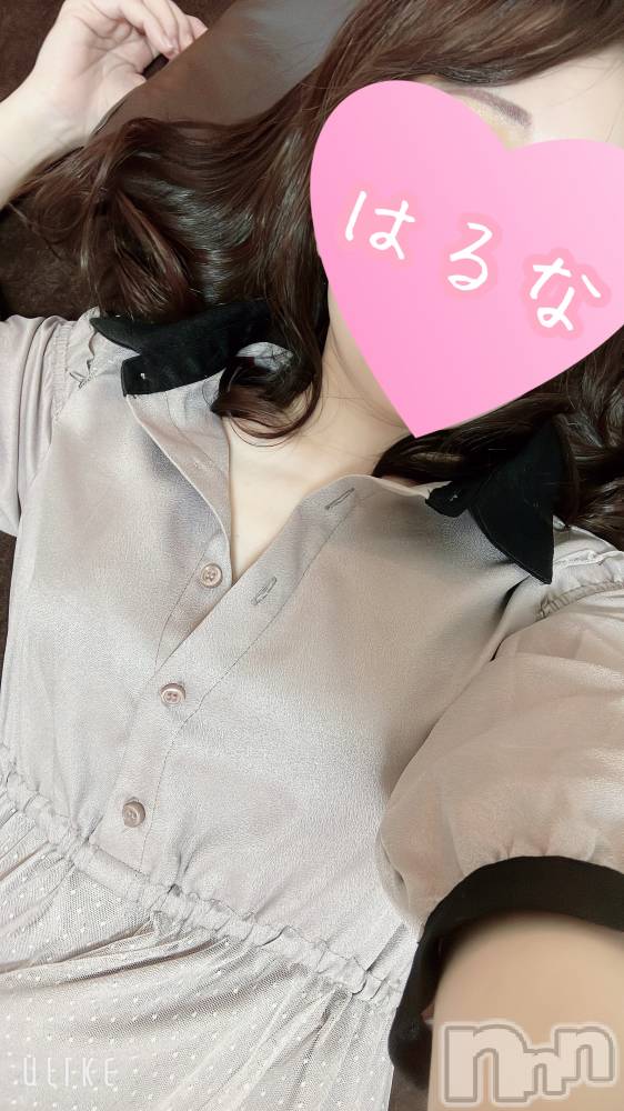 㡦ȯĥꥢ󥺥Ƥޤơ(ޥƥåȥ˥) ۺڡϤʤ16̥֥֤Сġ
