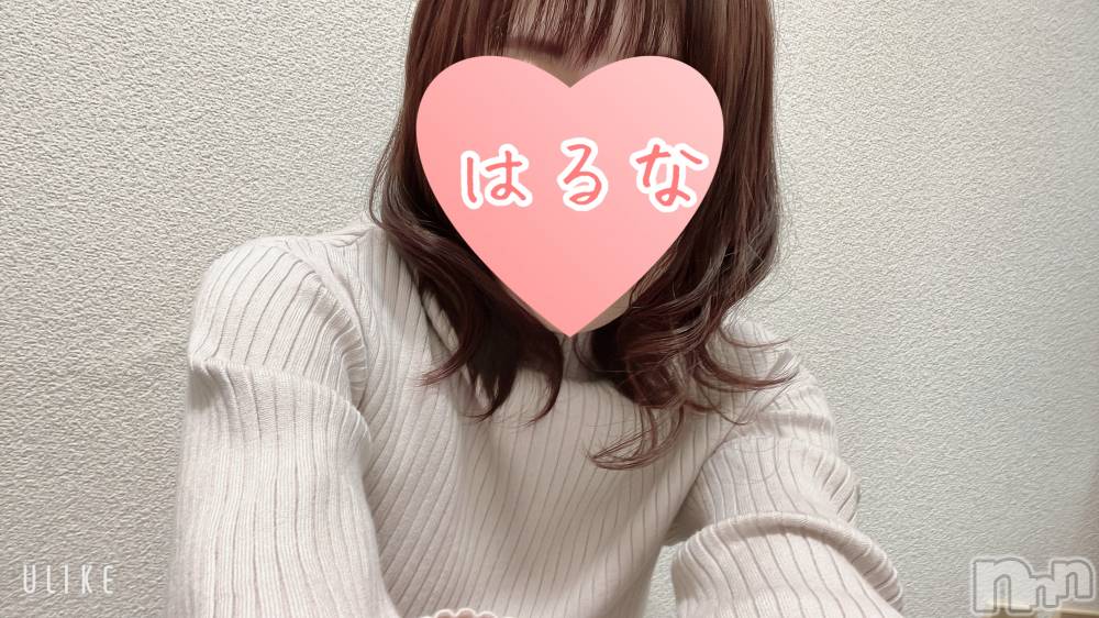 㡦ȯĥꥢ󥺥Ƥޤơ(ޥƥåȥ˥) ۺڡϤʤ115ִ̥֥❤️