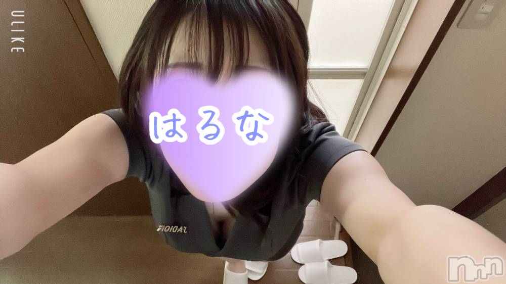 㡦ȯĥꥢ󥺥Ƥޤơ(ޥƥåȥ˥) ۺڡϤʤ44̥֥0120📲