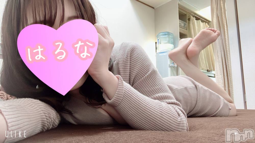㡦ȯĥꥢ󥺥Ƥޤơ(ޥƥåȥ˥) ۺڡϤʤ45̥֥´🌸