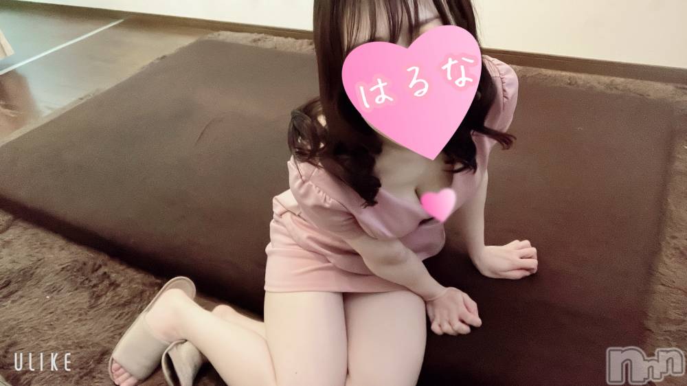㡦ȯĥꥢ󥺥Ƥޤơ(ޥƥåȥ˥) ۺڡϤʤ49̥֥񤷤ġ