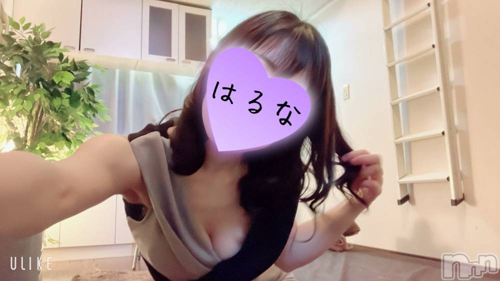 㡦ȯĥꥢ󥺥Ƥޤơ(ޥƥåȥ˥) ۺڡϤʤ623̥֥֡📢ۺġ