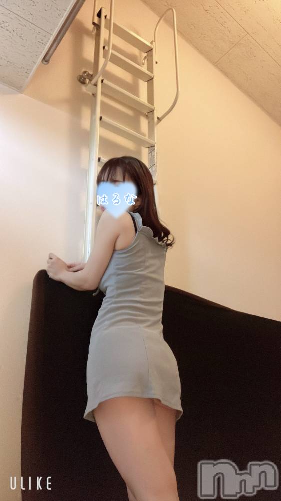 㡦ȯĥꥢ󥺥Ƥޤơ(ޥƥåȥ˥) ۺڡϤʤ926̥֥ġ