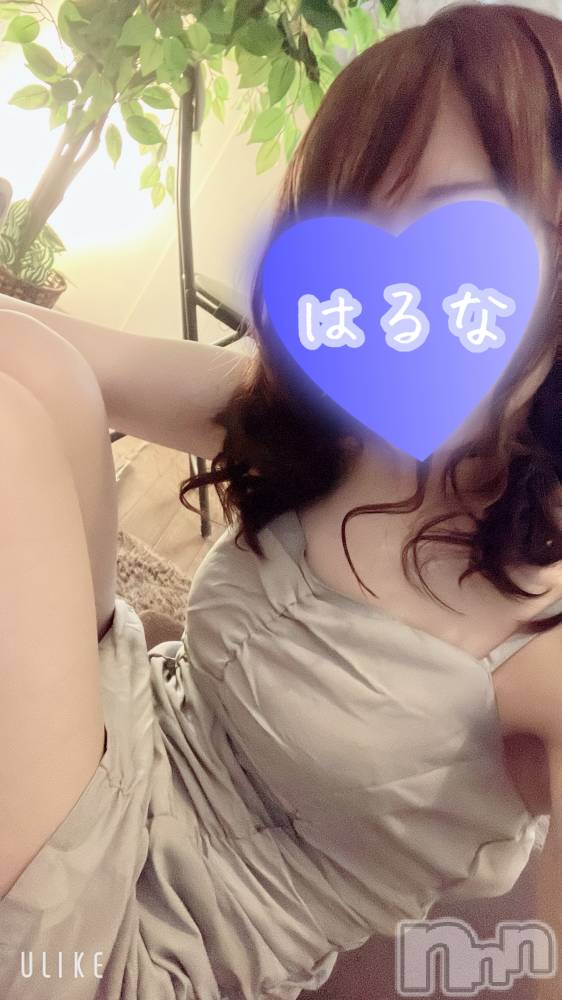 新潟メンズエステあろまえすて＠新潟(アロマエステアットニイガタ) 陽菜＊はるな(33)の12月30日写メブログ「【📢】追加！」