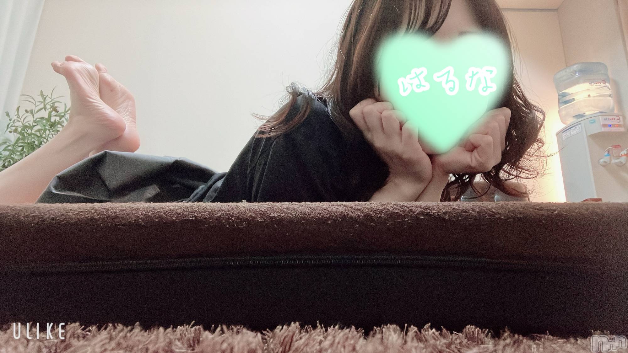 㡦ȯĥꥢ󥺥Ƥޤơ(ޥƥåȥ˥) 2024ǯ1214̥֥֤ε🥰