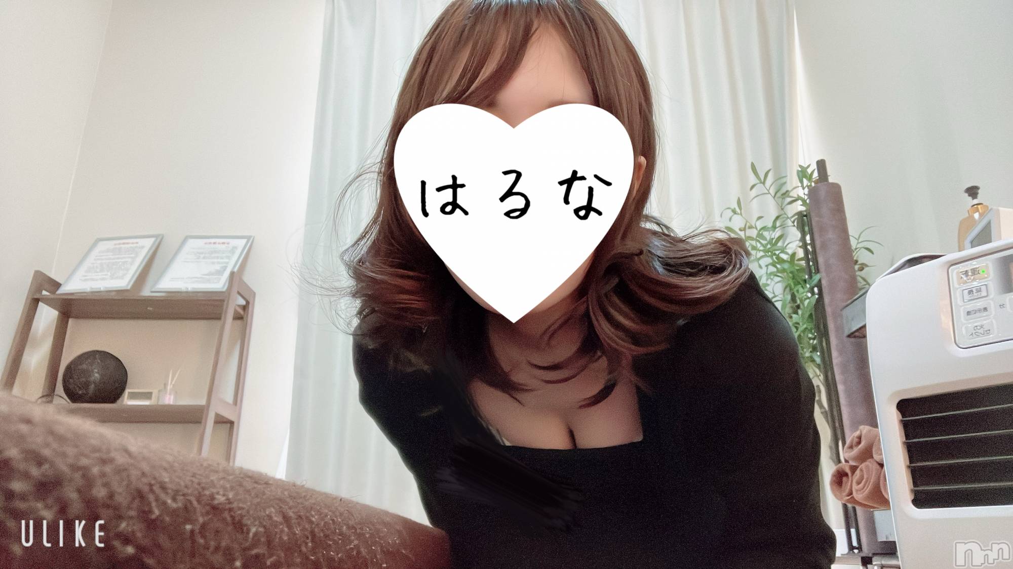 㡦ȯĥꥢ󥺥Ƥޤơ(ޥƥåȥ˥) 2025ǯ13̥֥֡