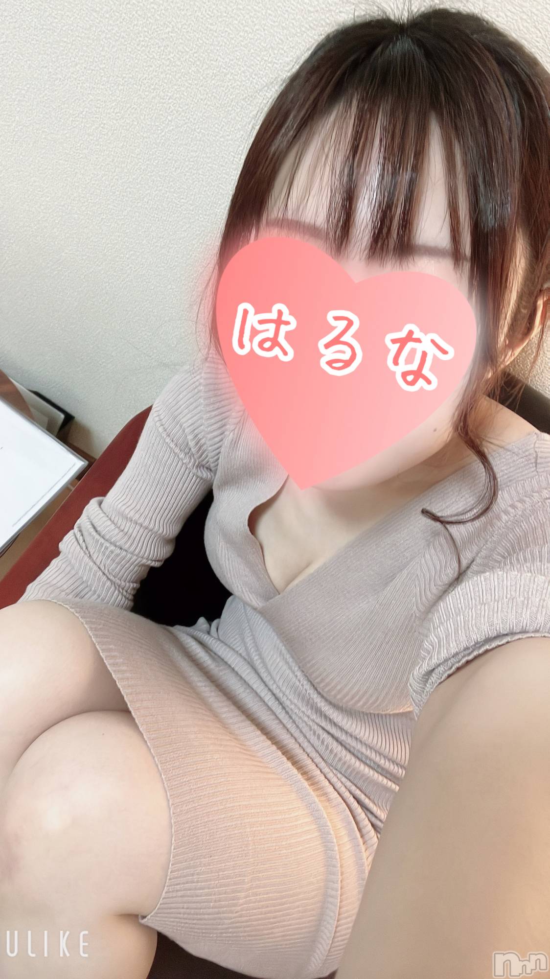 㡦ȯĥꥢ󥺥Ƥޤơ(ޥƥåȥ˥) 2025ǯ226ֵ̥֥Ĥʤġ