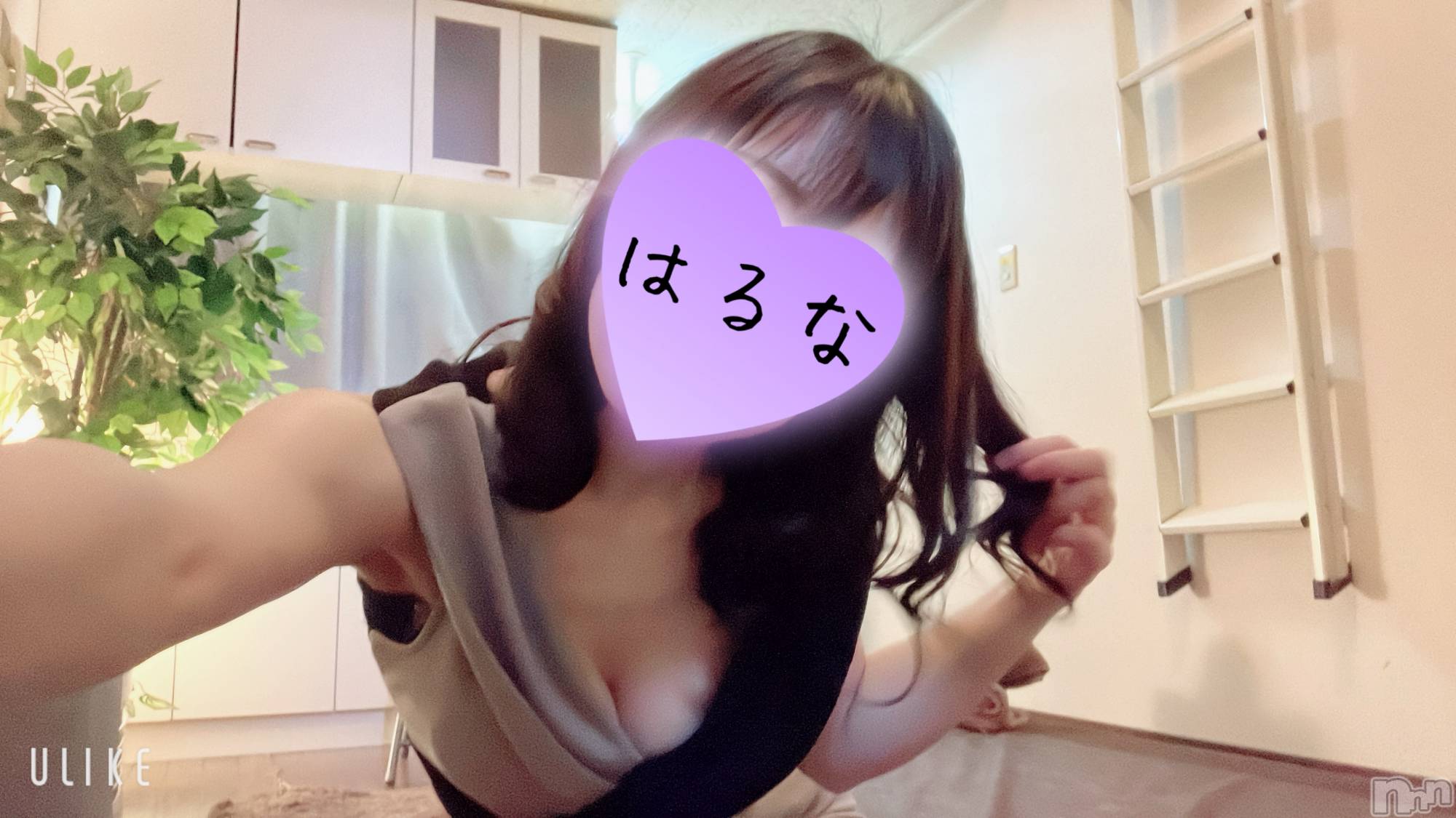 㡦ȯĥꥢ󥺥Ƥޤơ(ޥƥåȥ˥) 2025ǯ623̥֥֡📢ۺġ