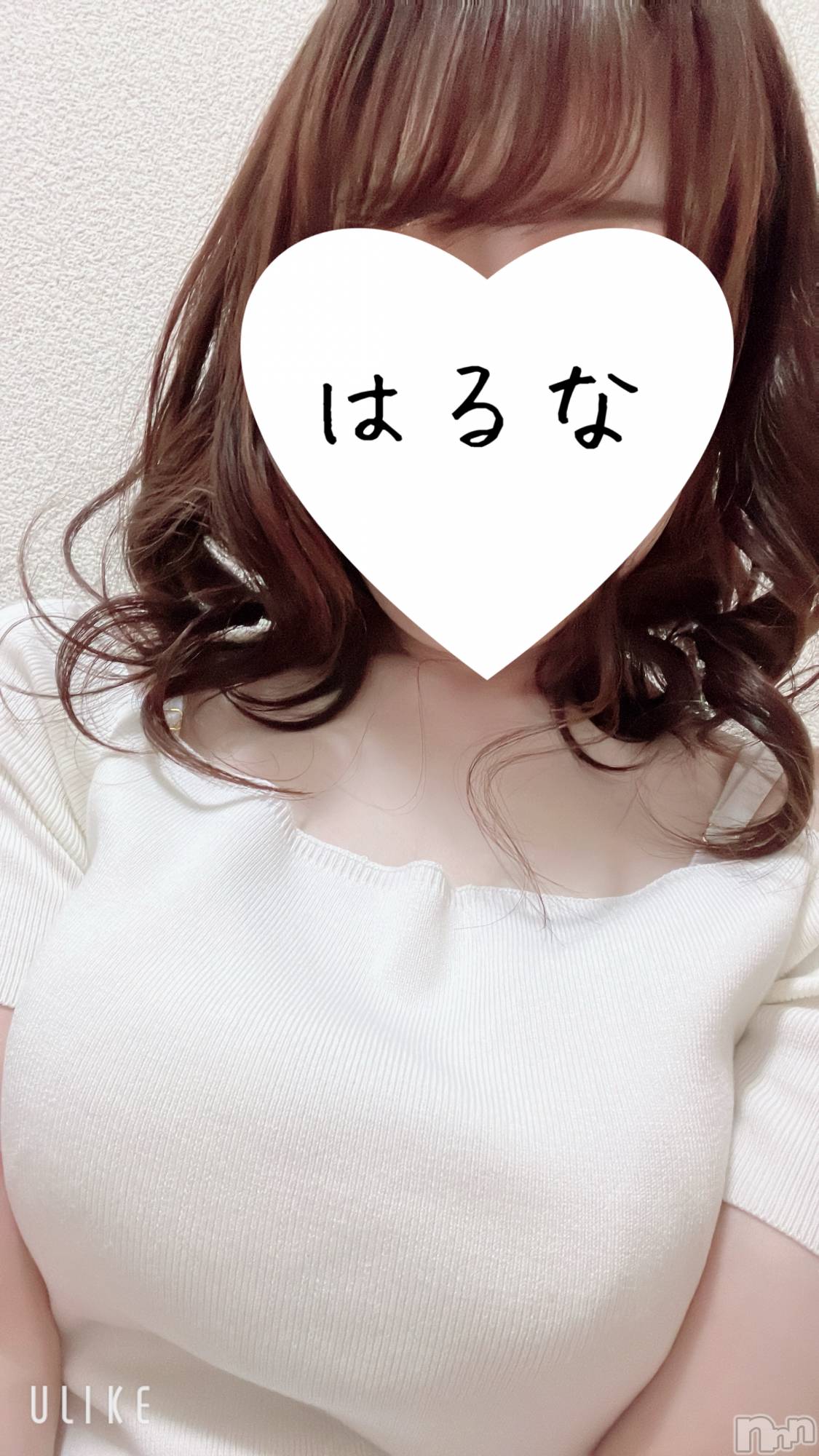㡦ȯĥꥢ󥺥Ƥޤơ(ޥƥåȥ˥) 2025ǯ817̥֥֡📢ۥ쥢⭐️