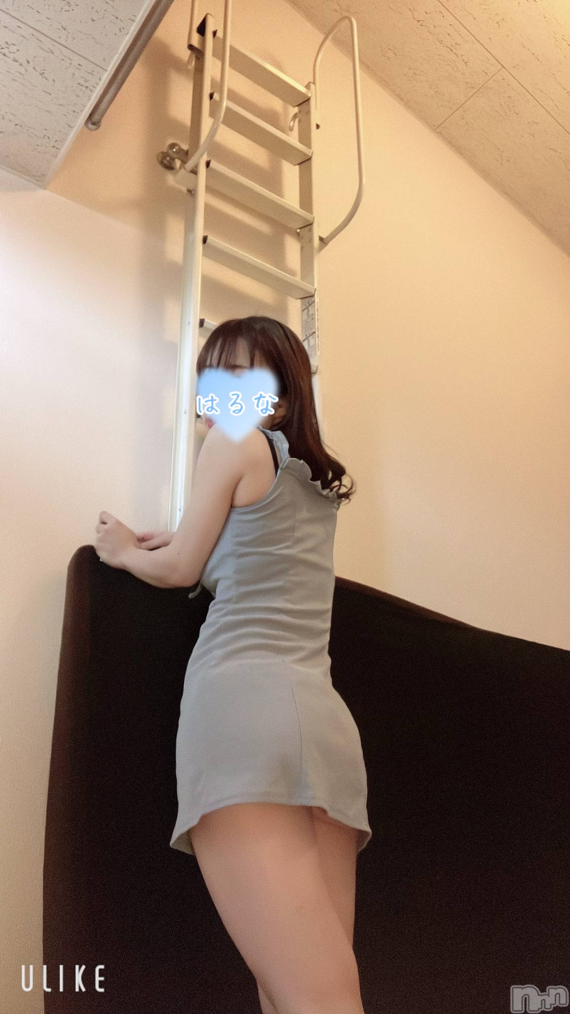 㡦ȯĥꥢ󥺥Ƥޤơ(ޥƥåȥ˥) 2025ǯ926̥֥ġ