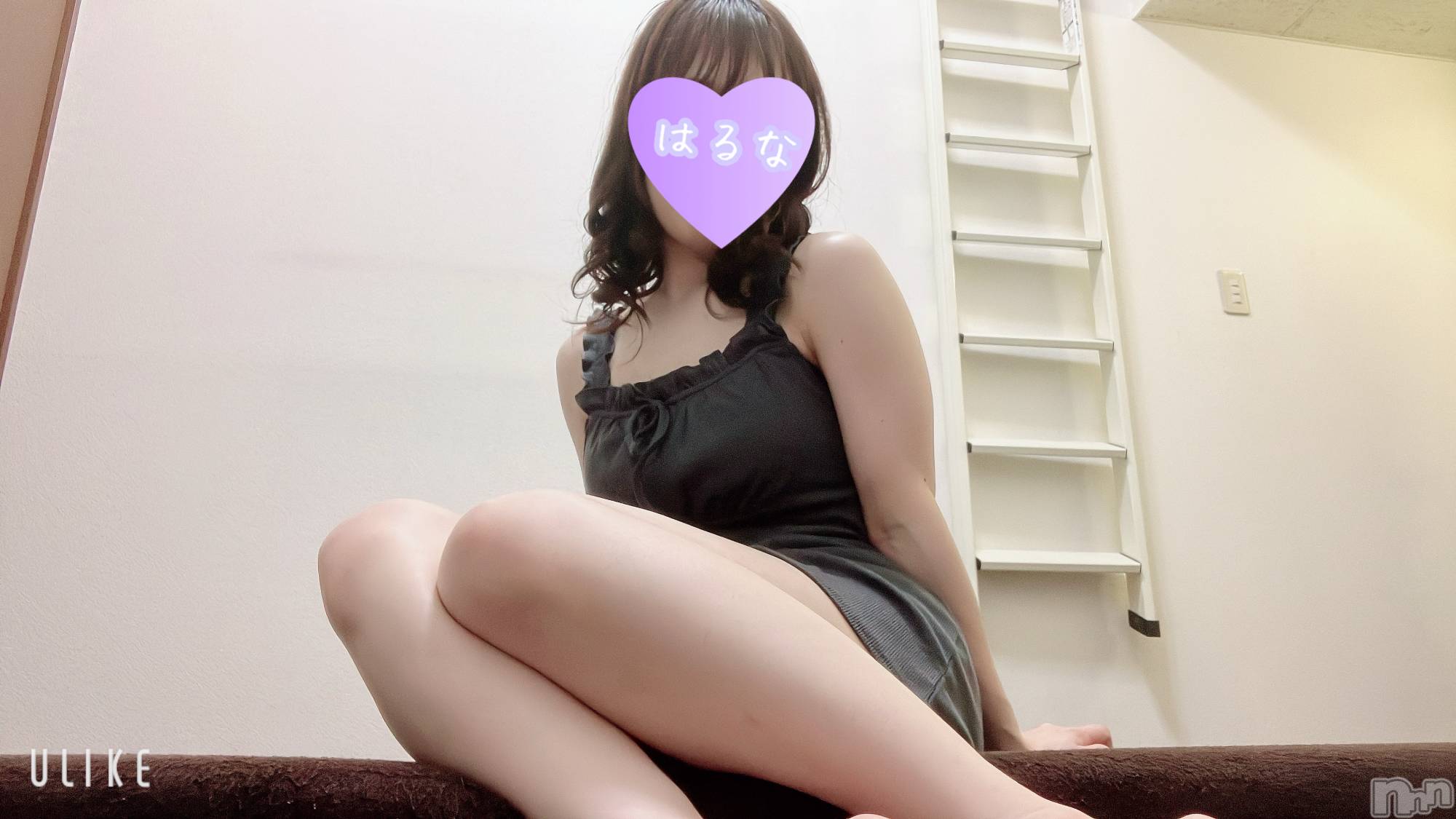 㡦ȯĥꥢ󥺥Ƥޤơ(ޥƥåȥ˥) 2025ǯ1026̥֥֡📢1ġ