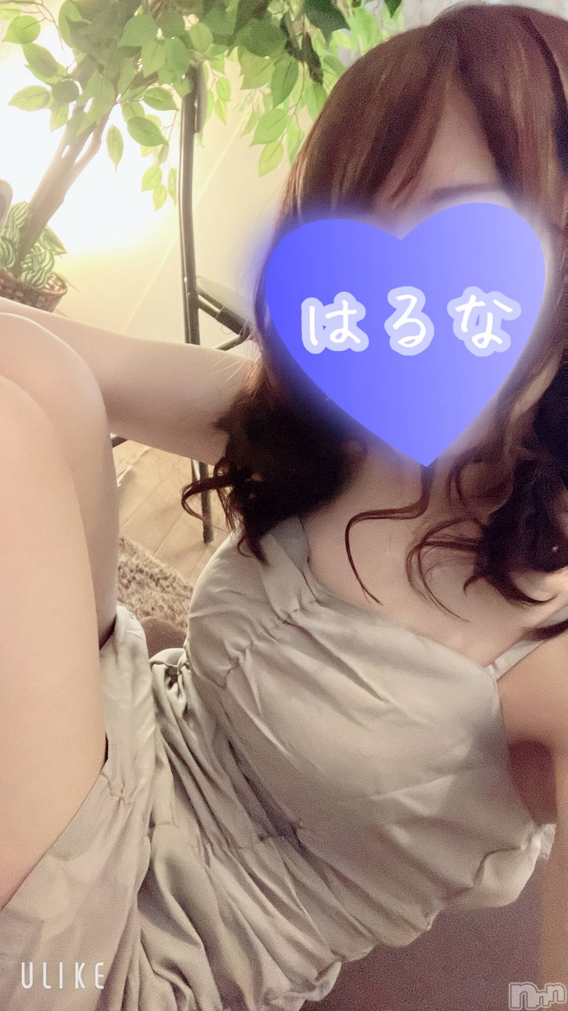 新潟メンズエステあろまえすて＠新潟(アロマエステアットニイガタ)陽菜＊はるな(33)の2025年12月30日写メブログ「【📢】追加！」