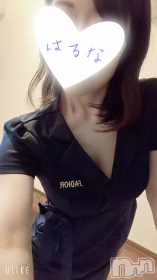 㡦ȯĥꥢ󥺥Ƥޤơ(ޥƥåȥ˥) ۺڡϤ(33)1011̥֥֤Ĥ֤䤭