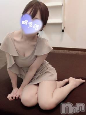 ۺڡϤ(33) Ĺ156cm㡦ȯĥꥢ󥺥 ޤơ(ޥƥåȥ˥)ҡ