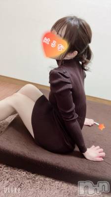 㡦ȯĥꥢ󥺥Ƥޤơ(ޥƥåȥ˥) ۺڡϤ(33)110̥֥֤ɤǤ
