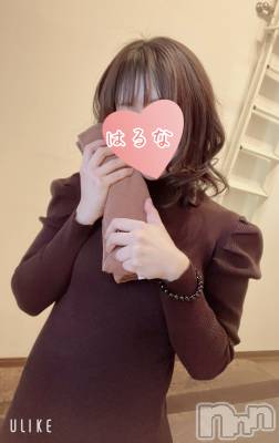 㡦ȯĥꥢ󥺥Ƥޤơ(ޥƥåȥ˥) ۺڡϤ(33)117ֿ̥֥ΤΥƥʥ❤️