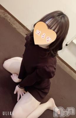 㡦ȯĥꥢ󥺥Ƥޤơ(ޥƥåȥ˥) ۺڡϤ(33)22̥֥轵❄️