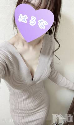 㡦ȯĥꥢ󥺥Ƥޤơ(ޥƥåȥ˥) ۺڡϤ(33)313̥֥֡📢۷ɤɤʤäġ