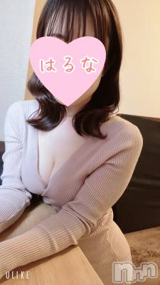 㡦ȯĥꥢ󥺥Ƥޤơ(ޥƥåȥ˥) ۺڡϤ(33)326̥֥֤ĤĤ✨