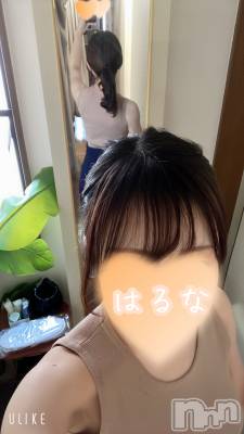 㡦ȯĥꥢ󥺥Ƥޤơ(ޥƥåȥ˥) ۺڡϤ(33)329̥֥֤ѥġ
