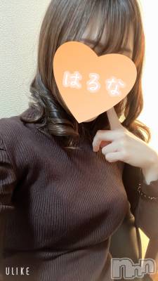 㡦ȯĥꥢ󥺥Ƥޤơ(ޥƥåȥ˥) ۺڡϤ(33)41ִ̥֥Ť❤️
