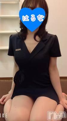 㡦ȯĥꥢ󥺥Ƥޤơ(ޥƥåȥ˥) ۺڡϤ(33)511̥֥֡📢ѹ⭐️