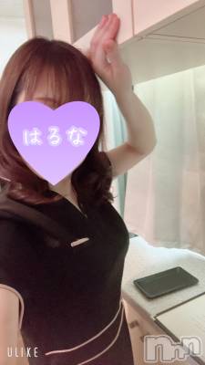 㡦ȯĥꥢ󥺥Ƥޤơ(ޥƥåȥ˥) ۺڡϤ(33)74̥֥դơ