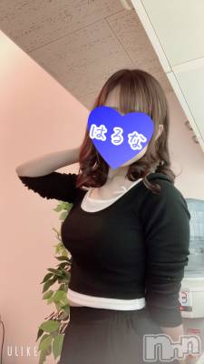 㡦ȯĥꥢ󥺥Ƥޤơ(ޥƥåȥ˥) ۺڡϤ(33)727̥֥֡📢۽뤤³ɡ