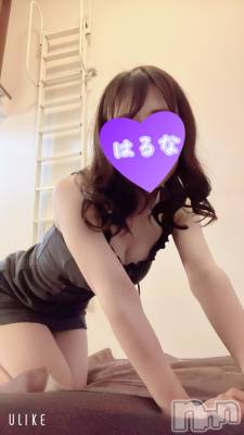 㡦ȯĥꥢ󥺥Ƥޤơ(ޥƥåȥ˥) ۺڡϤ(33)82̥֥֤Сġ