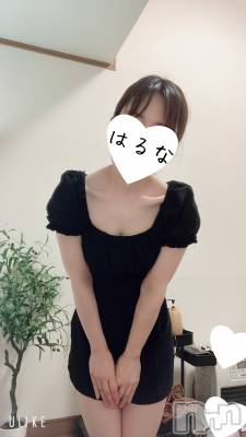 㡦ȯĥꥢ󥺥Ƥޤơ(ޥƥåȥ˥) ۺڡϤ(33)84̥֥֤äȡġ