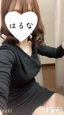 㡦ȯĥꥢ󥺥Ƥޤơ(ޥƥåȥ˥) ۺڡϤ(33)810̥֥֡📢ۤ߷🫶
