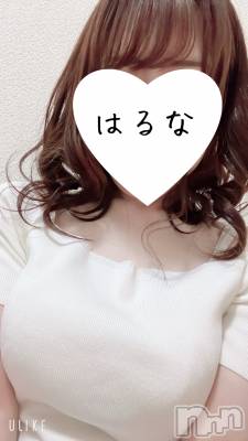 㡦ȯĥꥢ󥺥Ƥޤơ(ޥƥåȥ˥) ۺڡϤ(33)817̥֥֡📢ۥ쥢⭐️