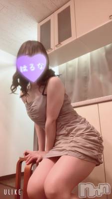 㡦ȯĥꥢ󥺥Ƥޤơ(ޥƥåȥ˥) ۺڡϤ(33)829ֹ̥֥ޤ