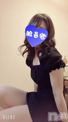 㡦ȯĥꥢ󥺥Ƥޤơ(ޥƥåȥ˥) ۺڡϤ(33)112̥֥֡📢ۤ뤫