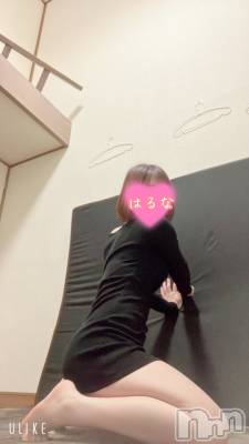 新潟メンズエステ あろまえすて＠新潟(アロマエステアットニイガタ) 陽菜＊はるな(33)の1月12日写メブログ「落ちついてよね～」