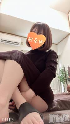 新潟メンズエステ あろまえすて＠新潟(アロマエステアットニイガタ) 陽菜＊はるな(33)の2月16日写メブログ「🙇‍♀️」