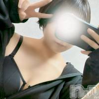 新潟デリヘル Crest(クレスト)の3月13日お店速報「本日激エロ美女多数出勤オススメは新人ゆずはちゃんご予約お早めに」