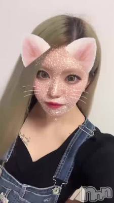 ¤ϡ
