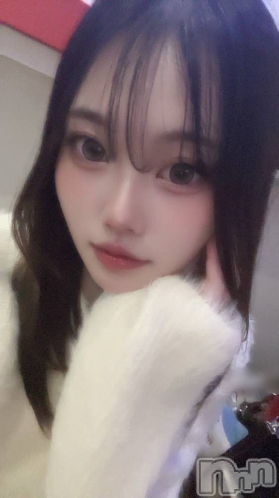 ʥå륺СBar  Angel(С󥸥) 317̥֥֤ߤʤϲ