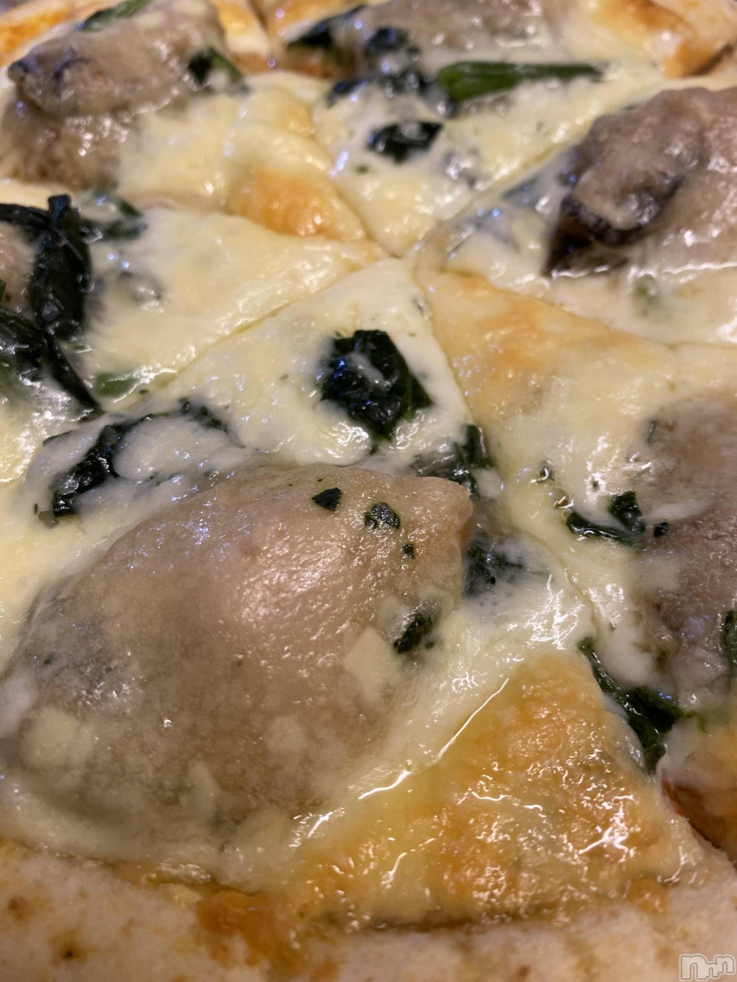 Ĺ�����������襳��ѥ˥��󥯥�ֻ���Ĺ������ѥ˥��󥯥�� HAPPY(���󥸥祦���ʥ���������ѥ˥��󥯥�� �ϥåԡ�) ��2026ǯ3��27���̥�֥����֤פ��פ��ʤ�������