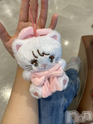 Ĺ襳ѥ˥󥯥ֻĹѥ˥󥯥 HAPPY(󥸥祦ʥѥ˥󥯥 ϥåԡ) ɱ1011̥֥֤ͤͤ㤦͡