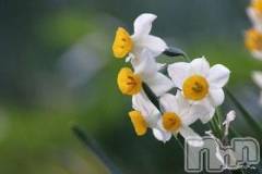 松本発デリヘル松本人妻隊(マツモトヒトヅマタイ) ゆな(49)の5月27日写メブログ「綺麗な花には‥‥と申しますが」