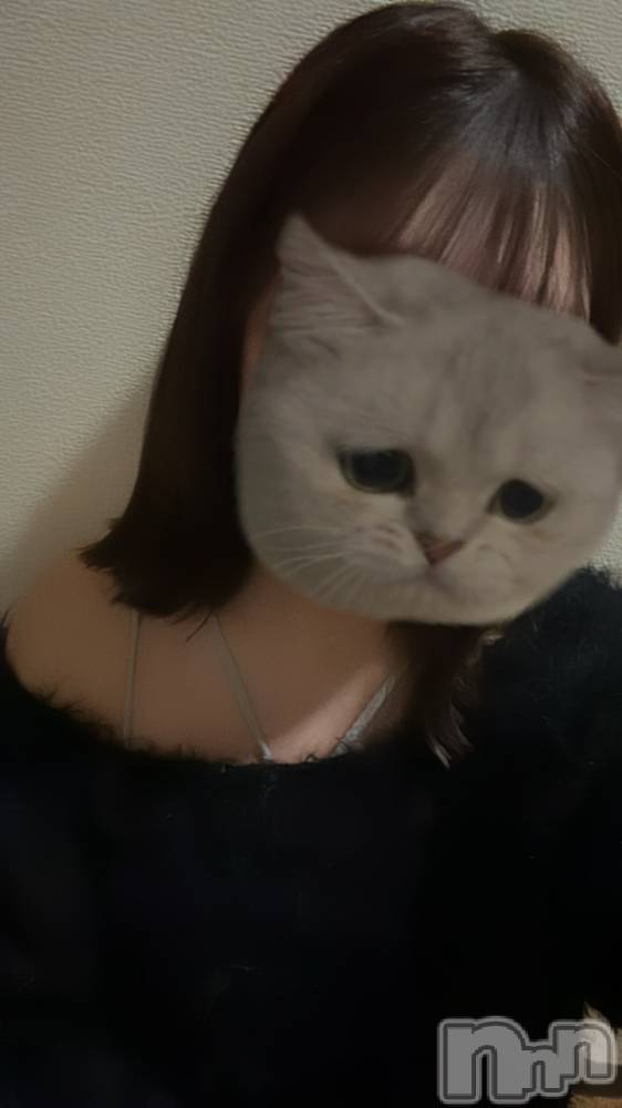 ȯѥ˥󥯥ֿ㥳(˥) 繥1024̥֥֤Ϥޤ🎀