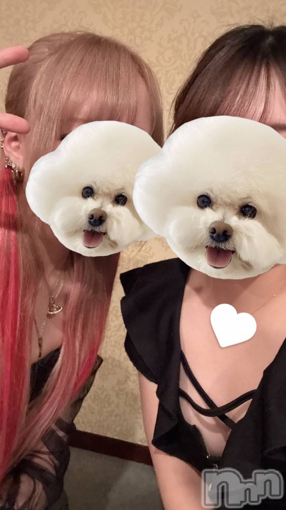 ȯѥ˥󥯥ֿ㥳(˥) ʡ¥63ֿ̥֥갭ɥ쥢餤ޤ