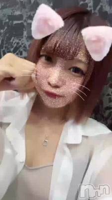 ‪🐹🎶