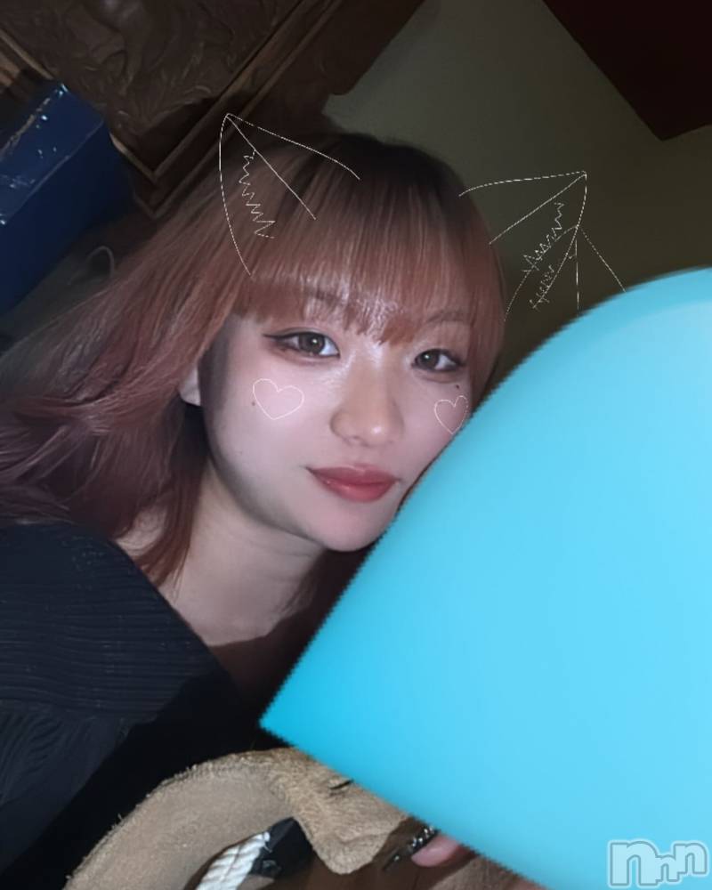 ƲХ顦151-A() 27̥֥27 2344ʬΥ֥